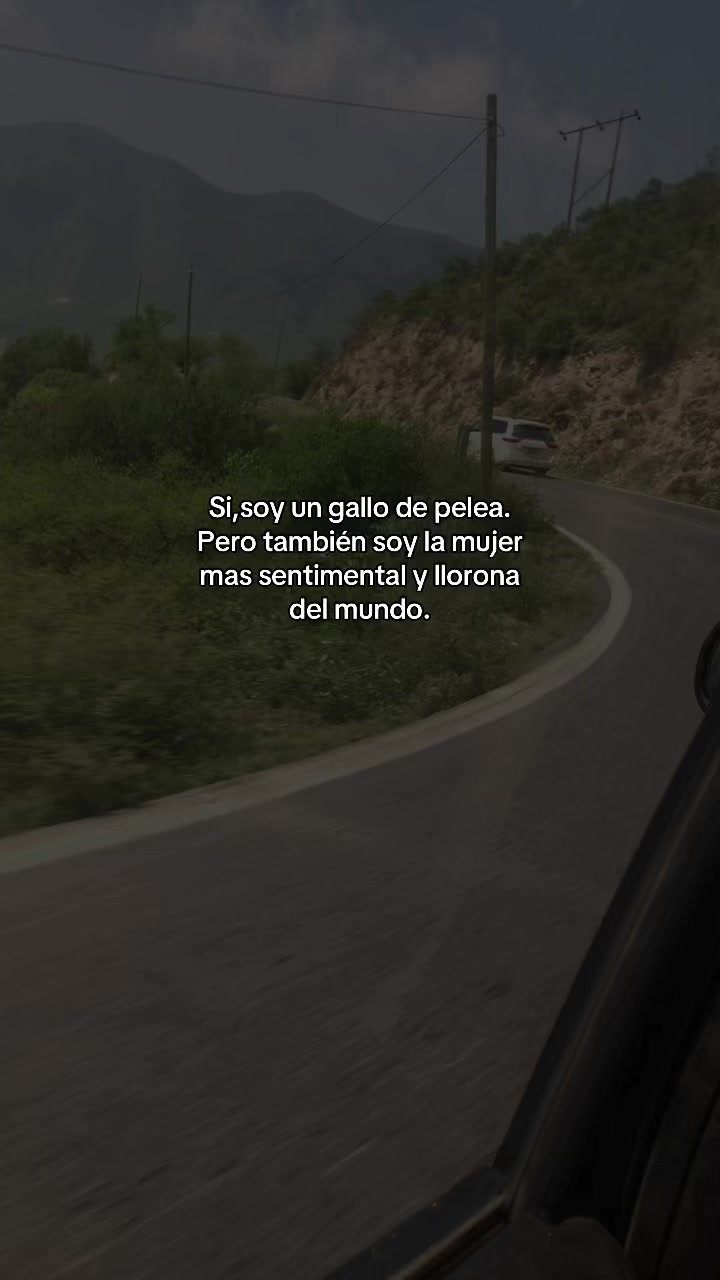 @Yuli JS