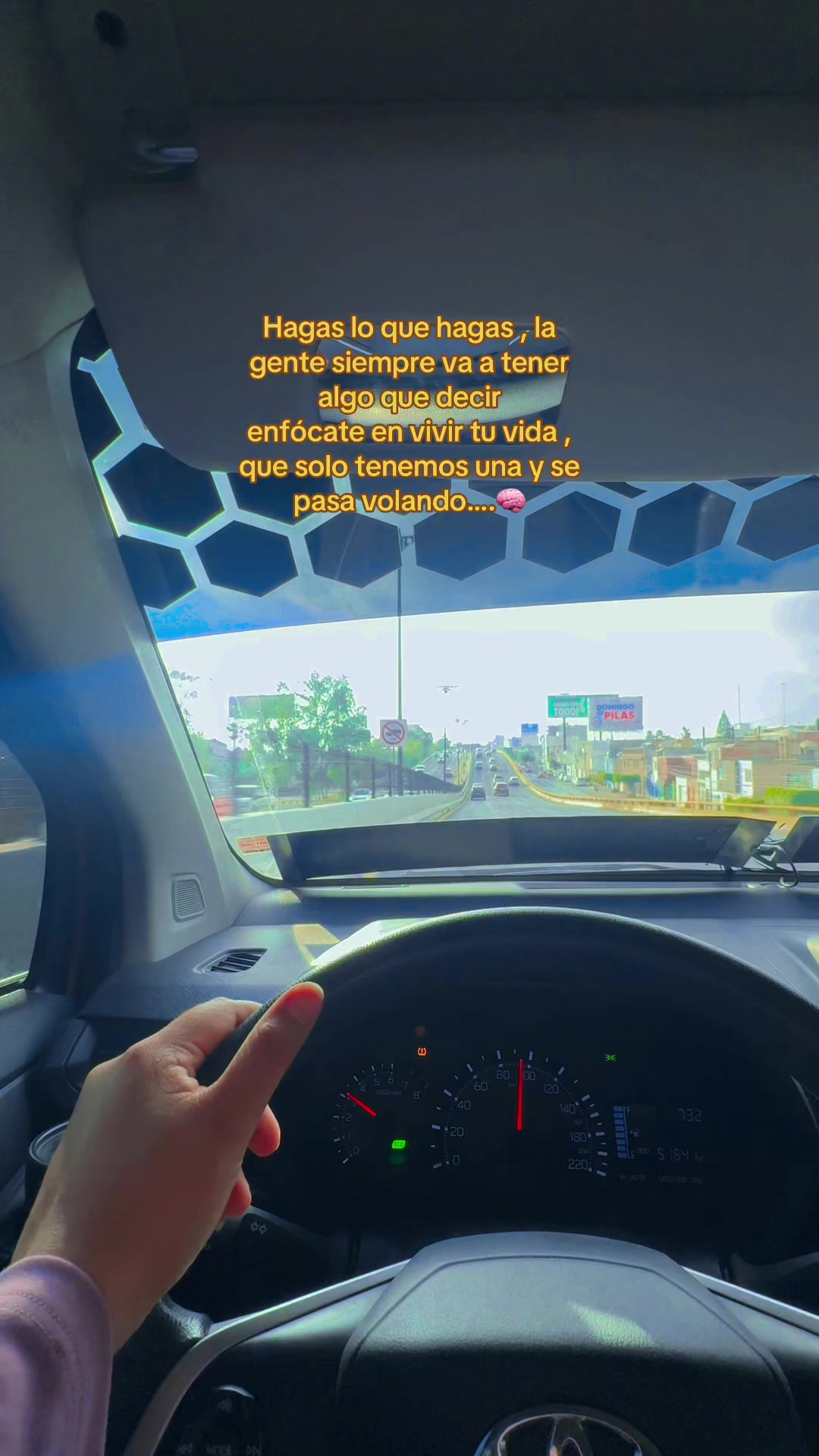 @🌻TORRES🌻