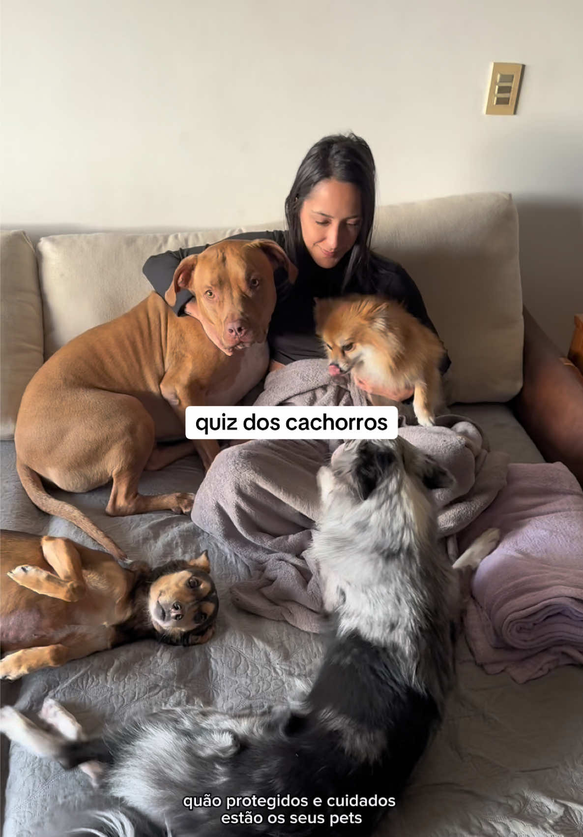 @2DOGSEMEIO