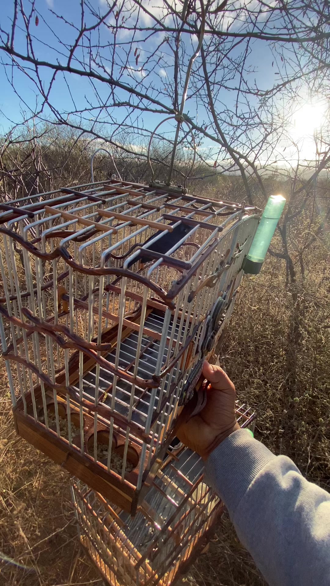 @Gabriel Silva pegada livre 🔥