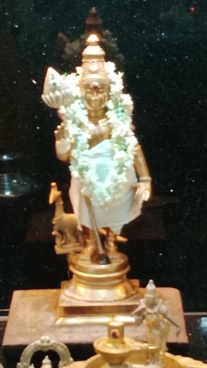 @anupooja 010