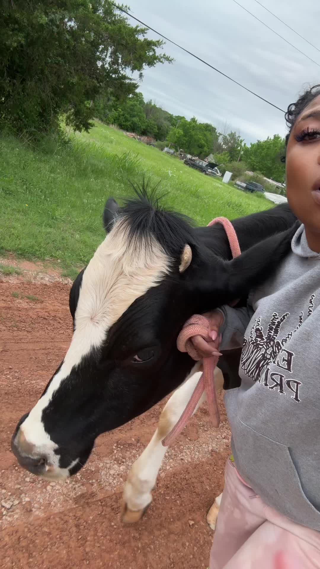 @Billy The Bad Ass Horse