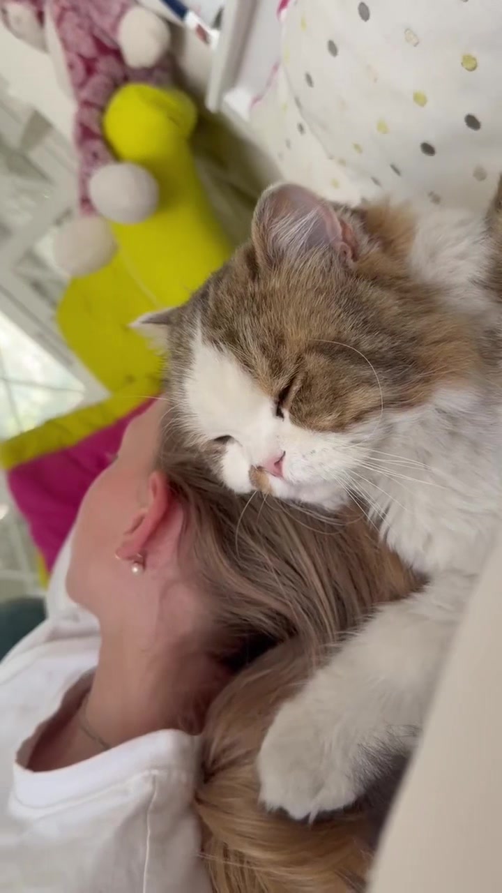 @анфиса 😼