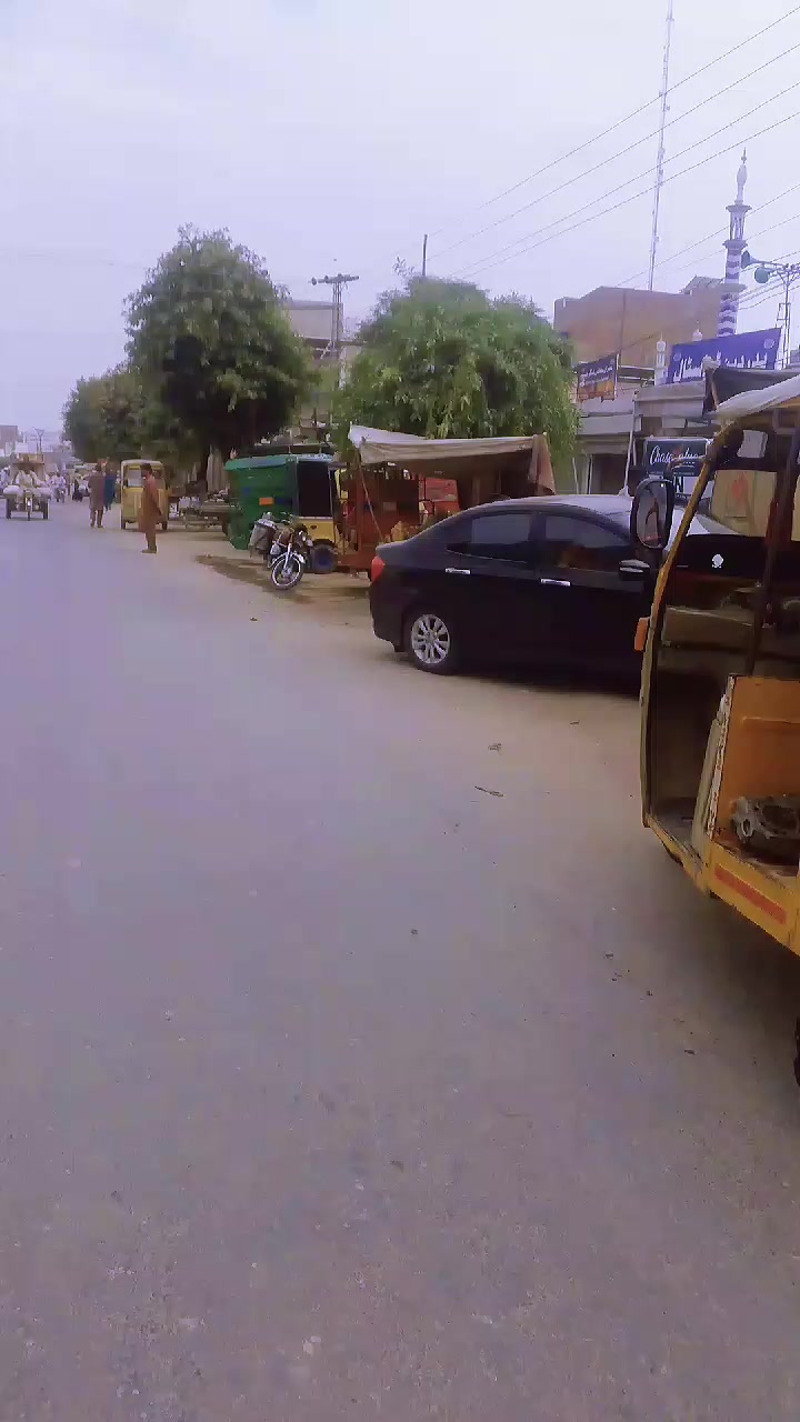 @maliksajjad1860