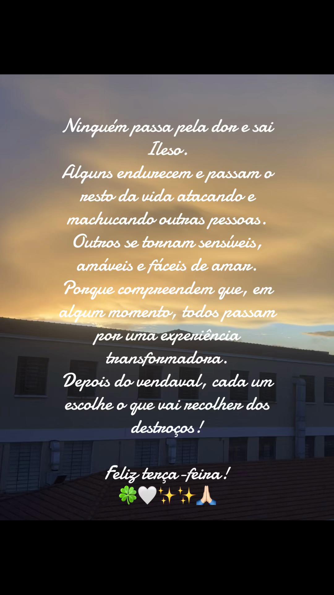 @Luci
