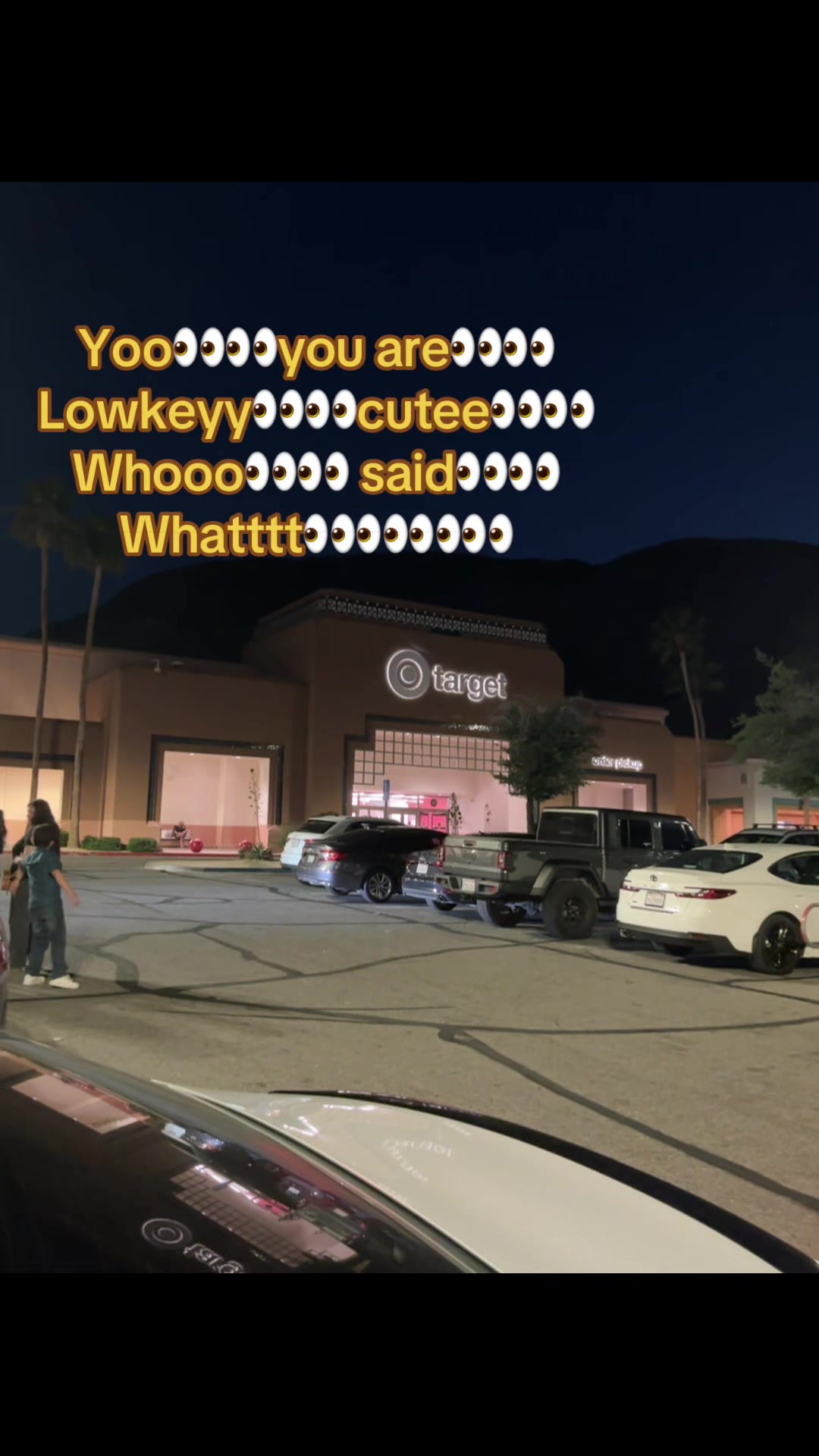 @𝓟 𝜗𝜚⋆₊˚