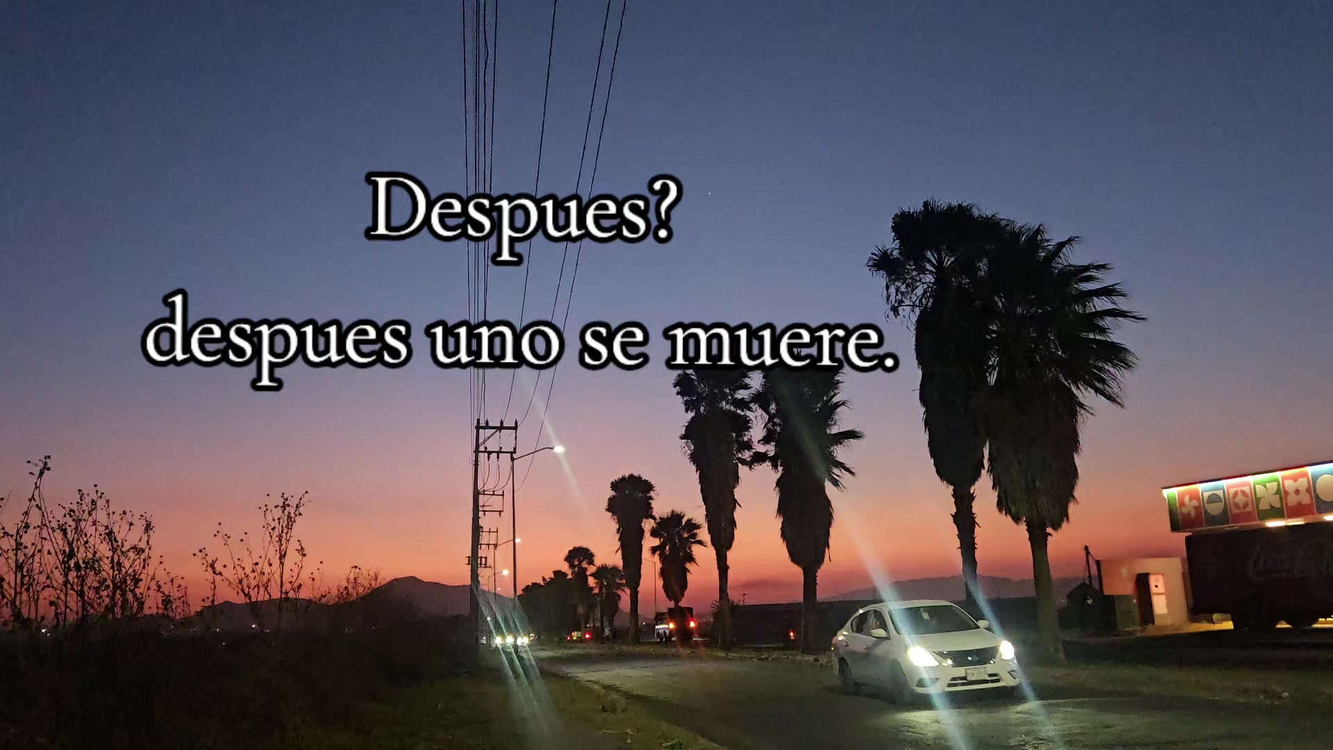 @Lia Marques