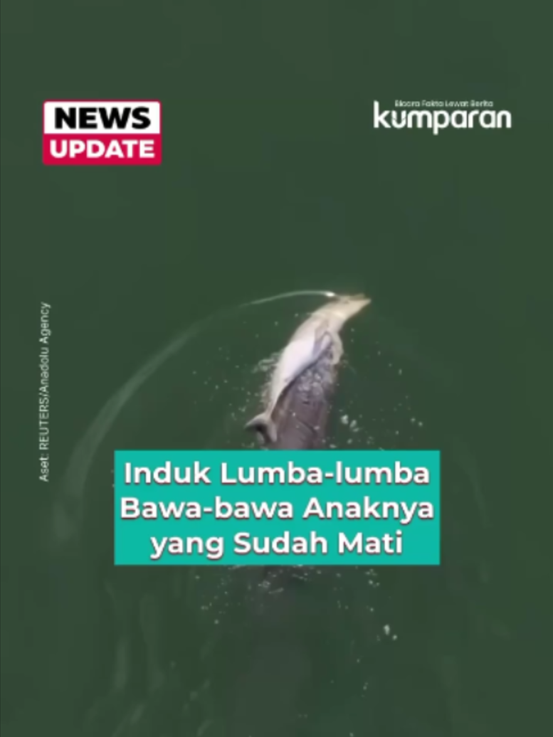 @kumparan