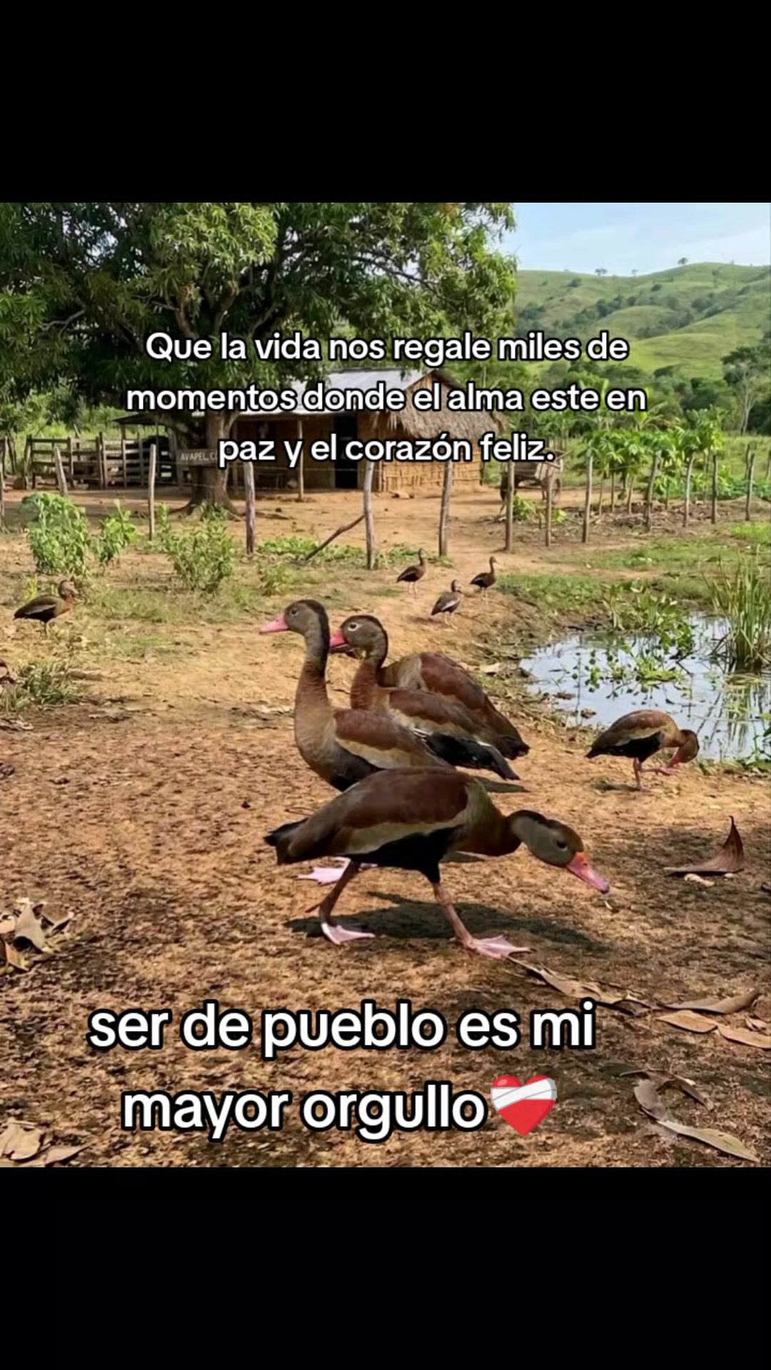 @❤️Ynis🐾
