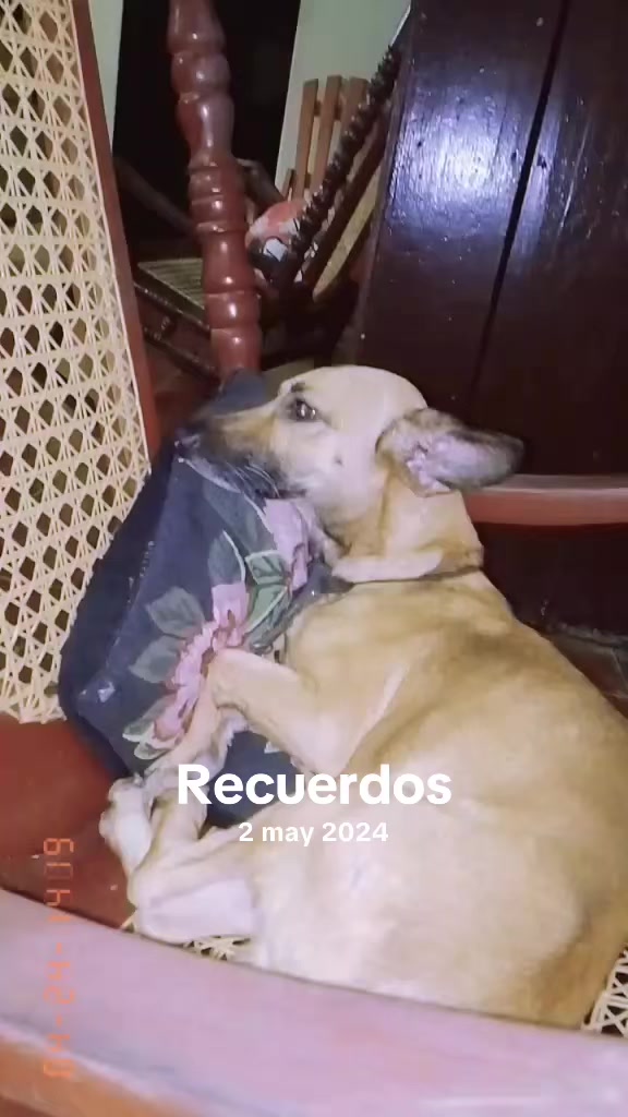 @Gilda Novoa