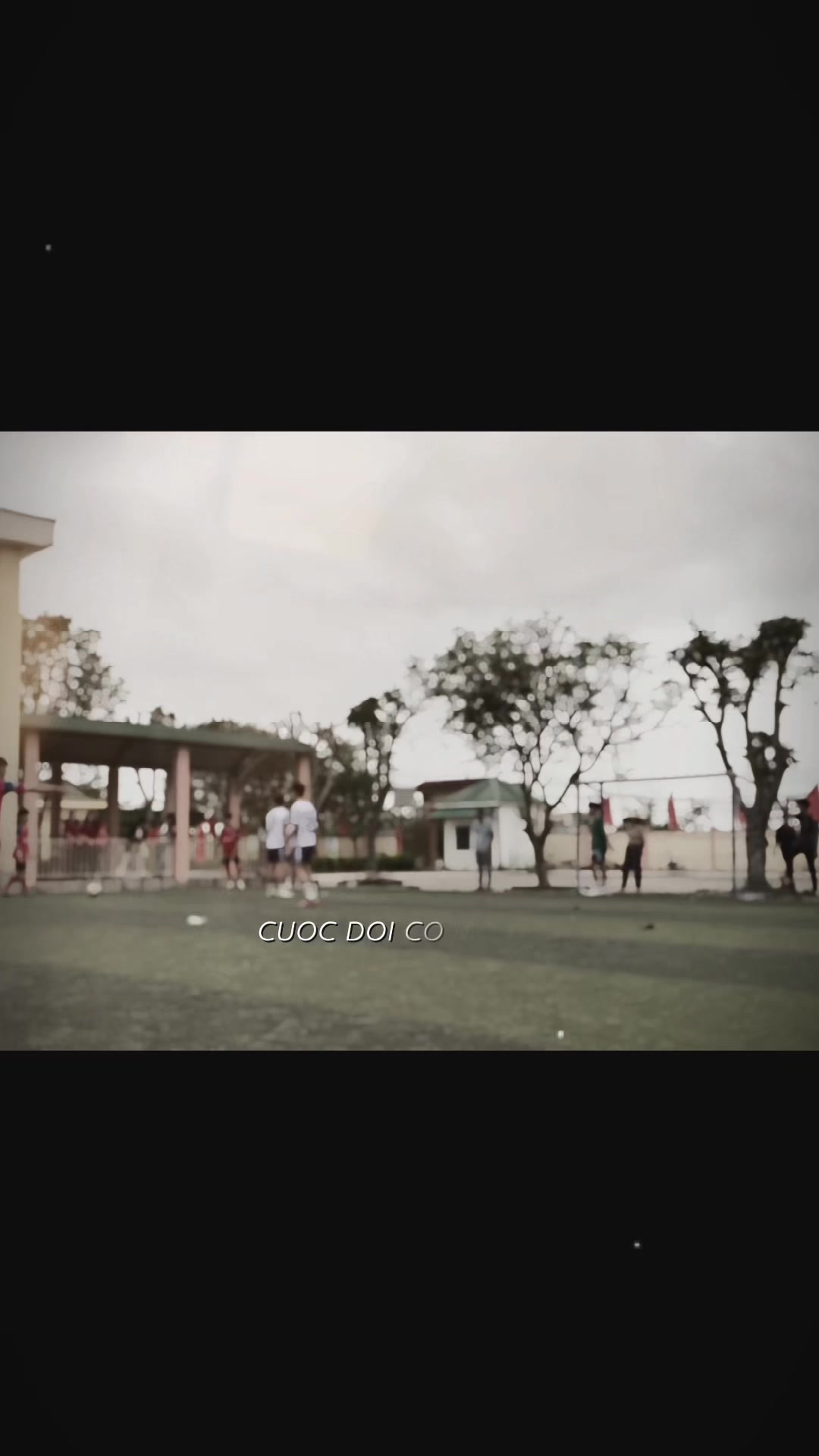 @9c c&aacute;c bố no1
