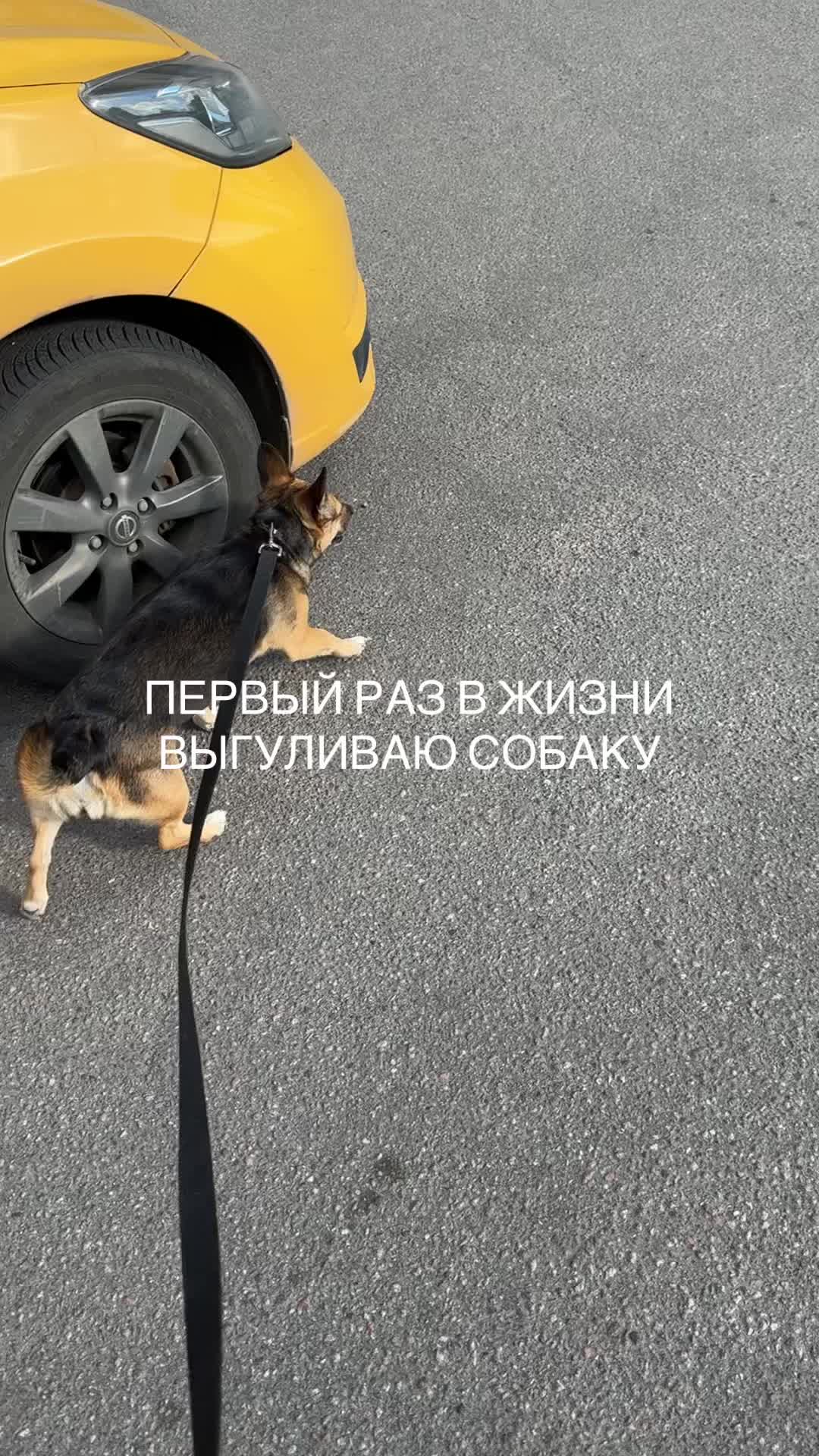 @тгк ⋆.˚полесникова⋆࿔*:・