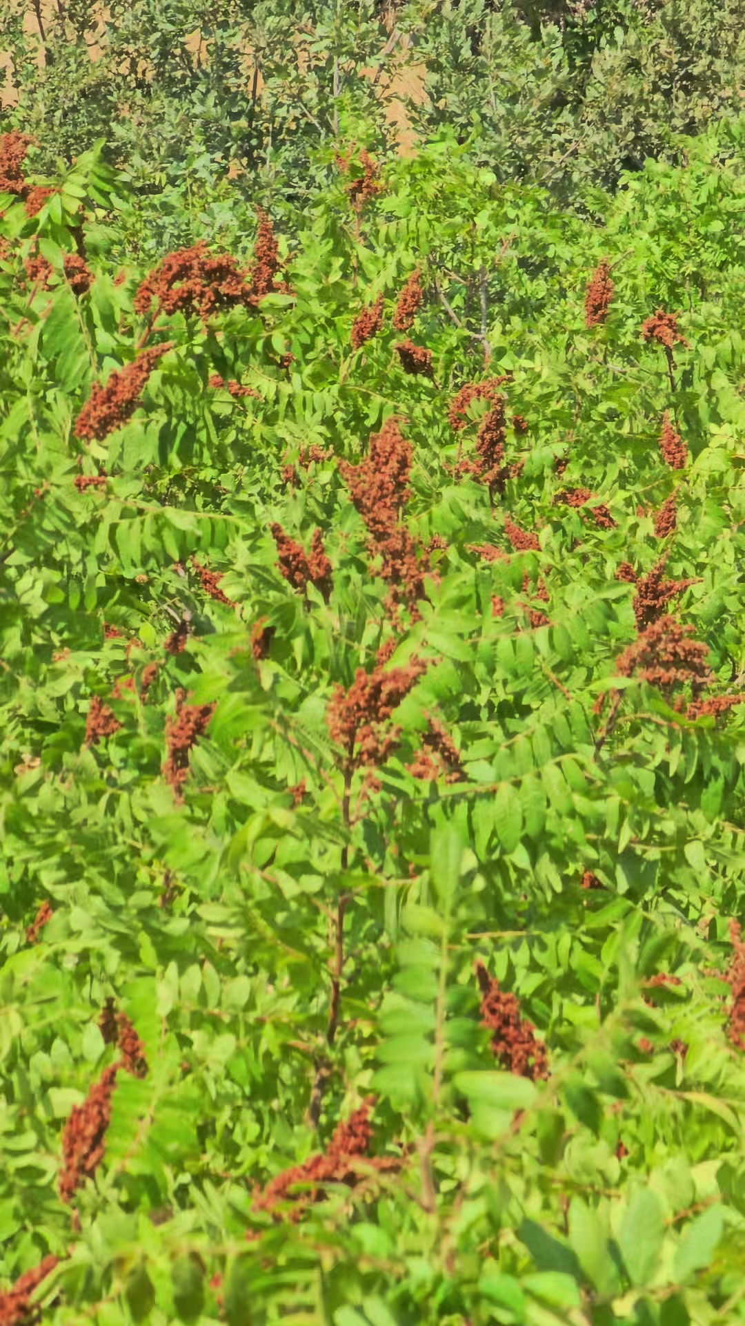 @heja_nheli25📸⛰️