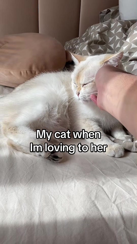 @𝓶𝓪𝓱𝓷𝓸𝓸𝓻ꨄ︎
