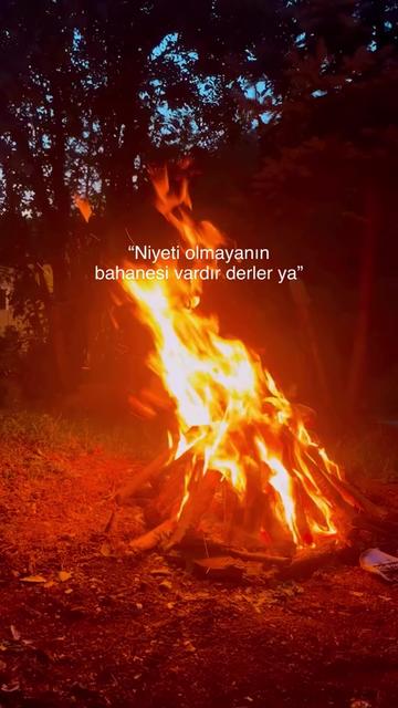 @Savaş Aydoğan