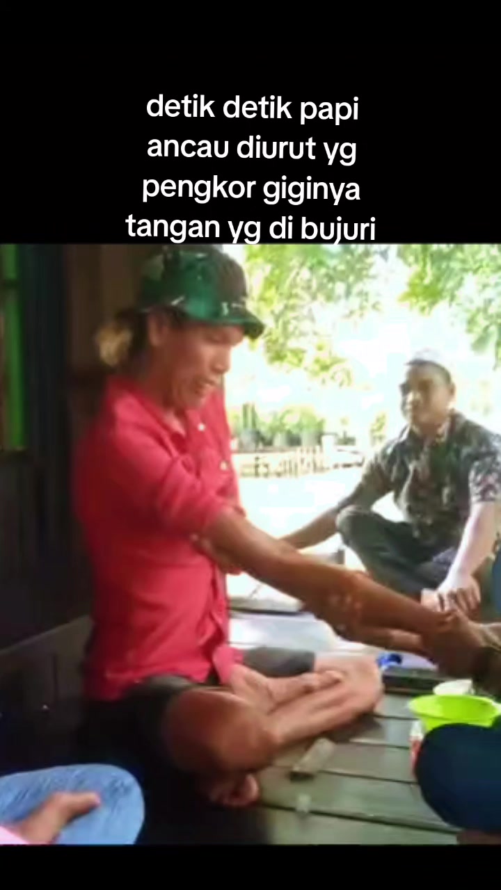 @ACAN hangur
