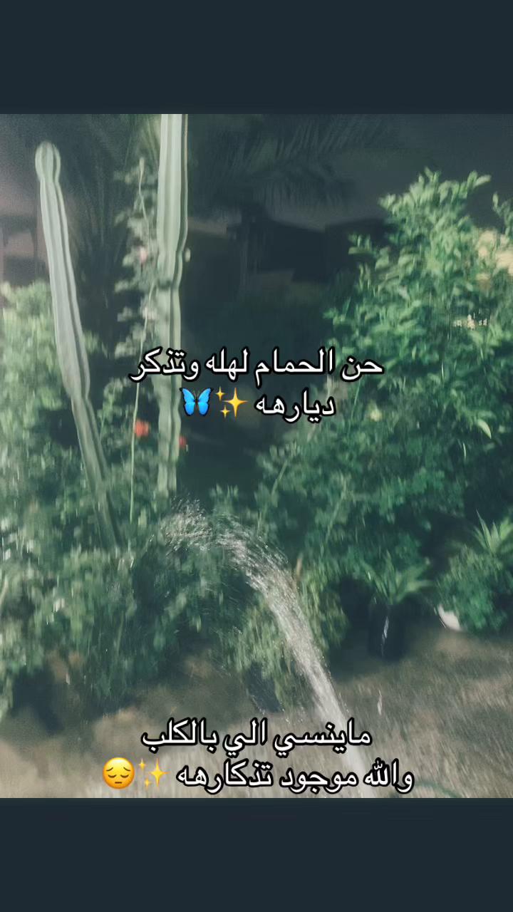 @AN.Zahra