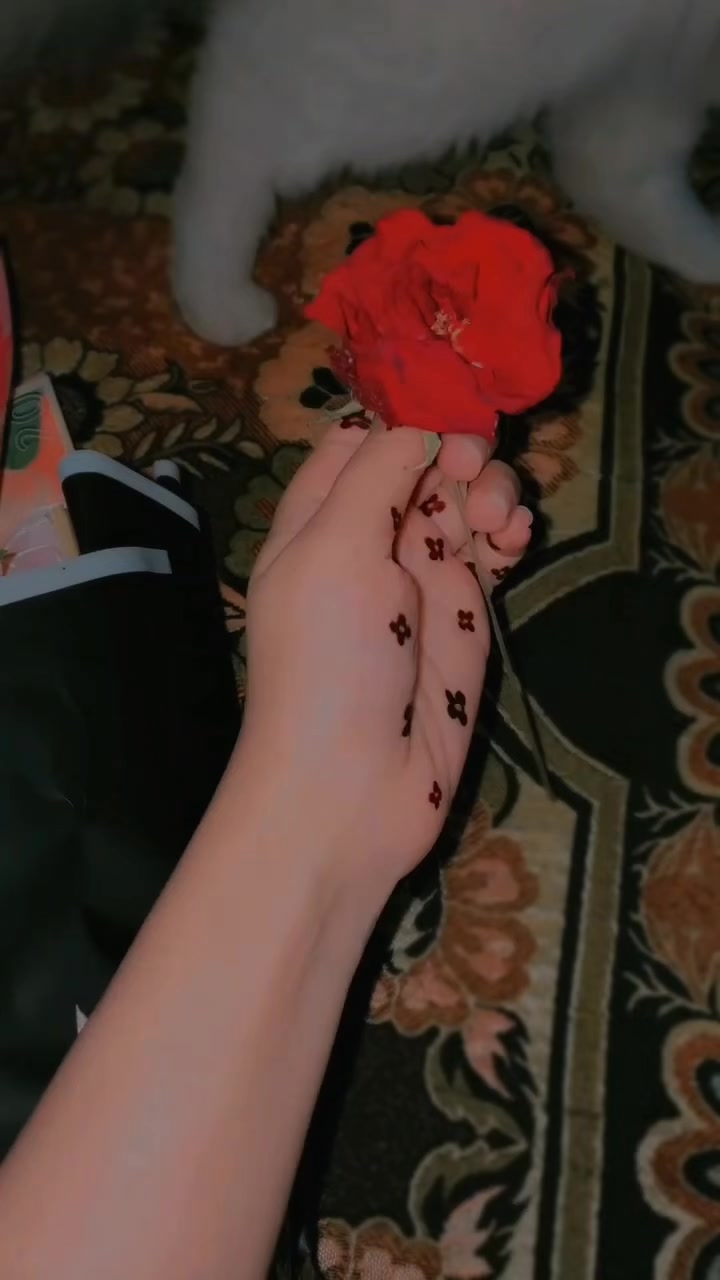 @️𓆩🤍𓆪