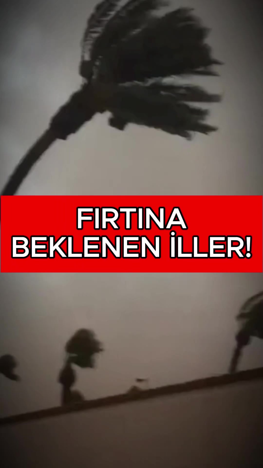 @Havadar