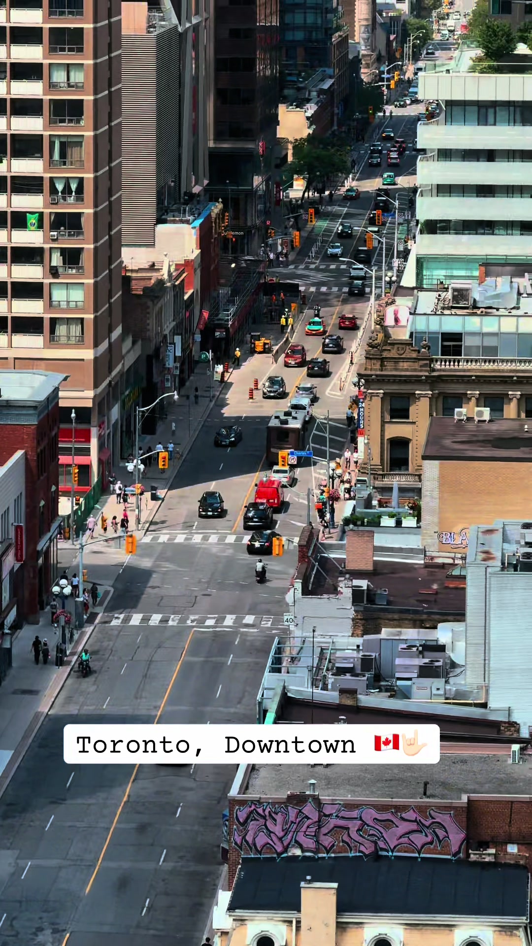 @Toronto Vibe🇨🇦