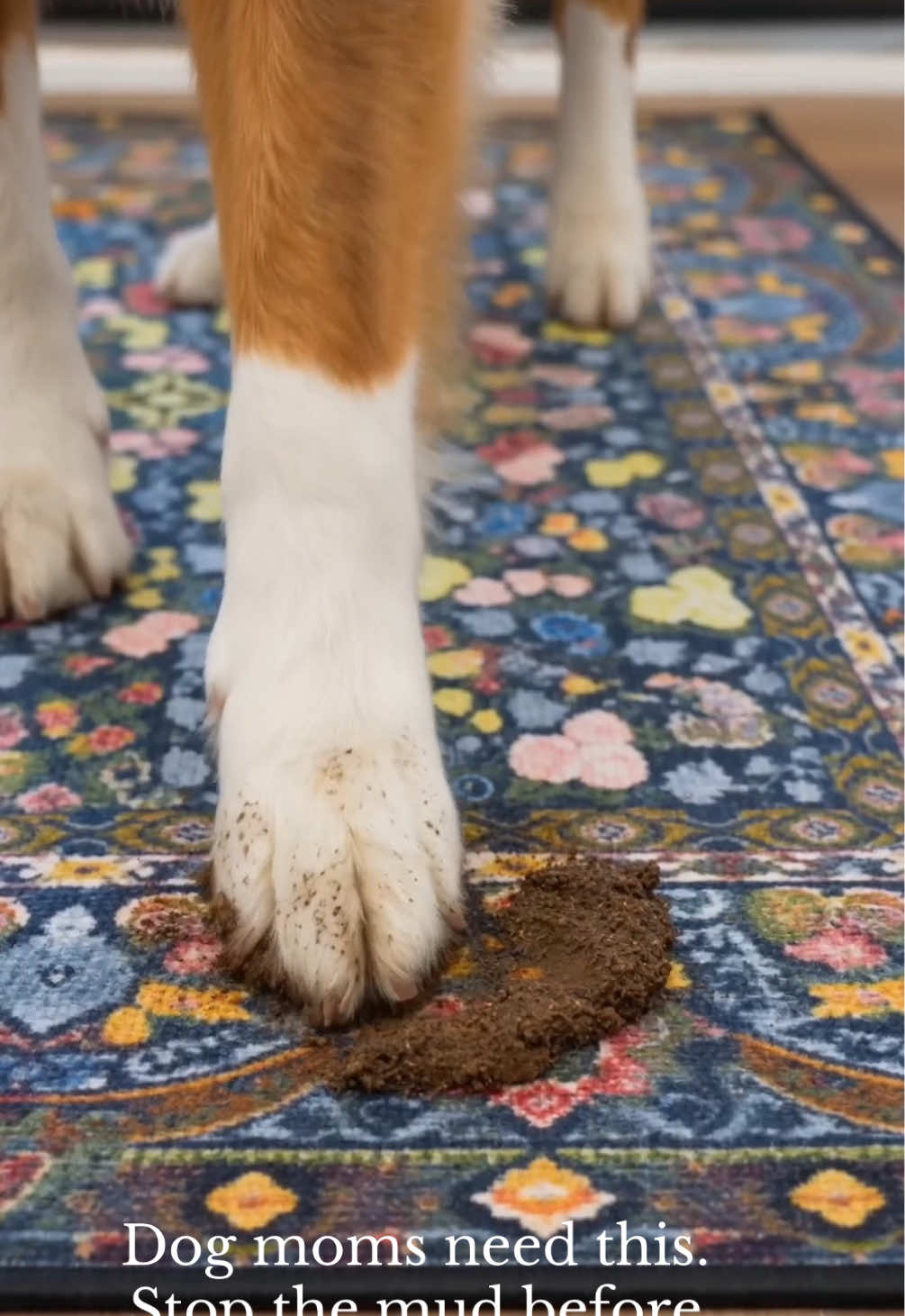 @Lovewag Pets