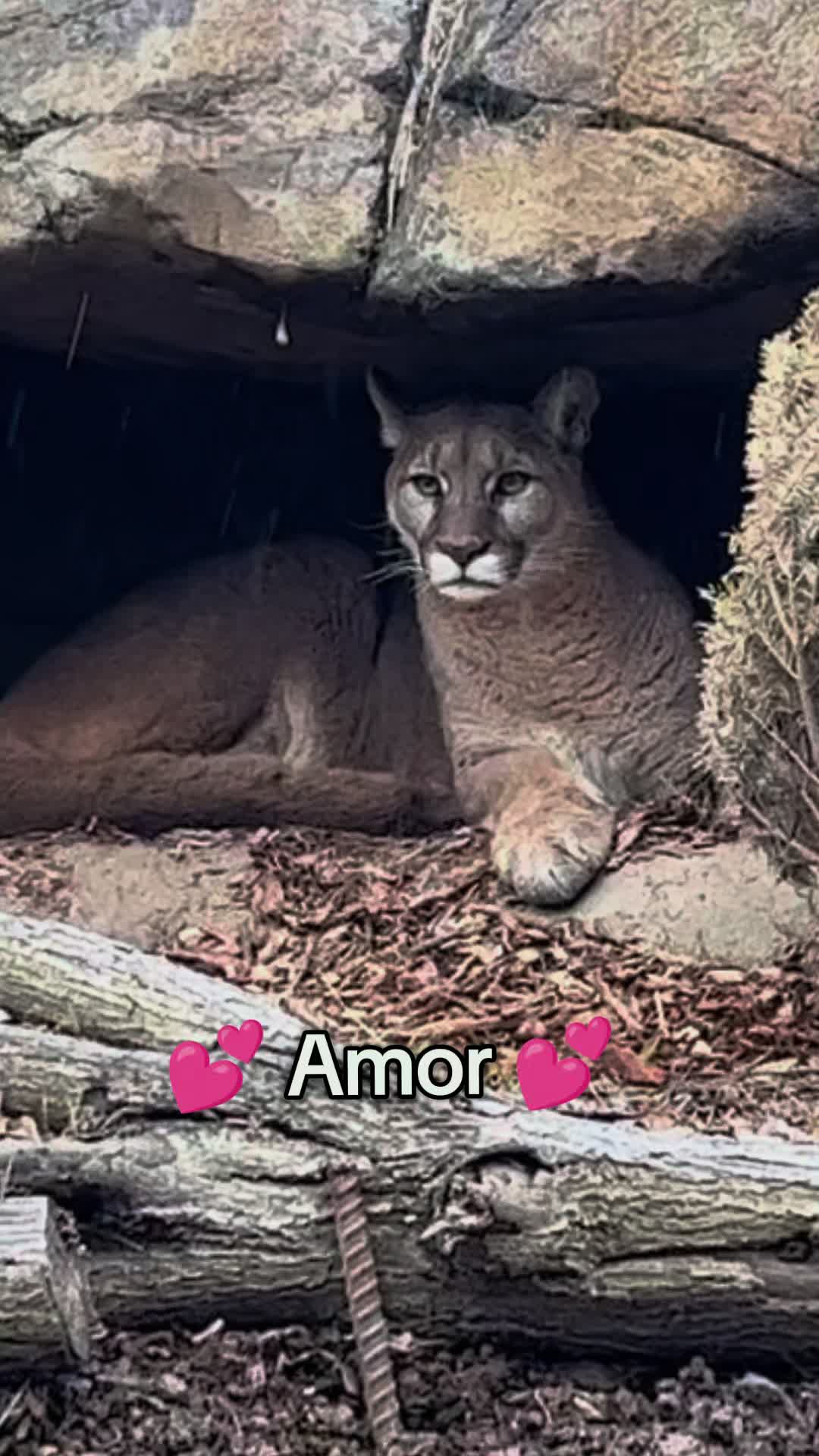 @Oakland Zoo