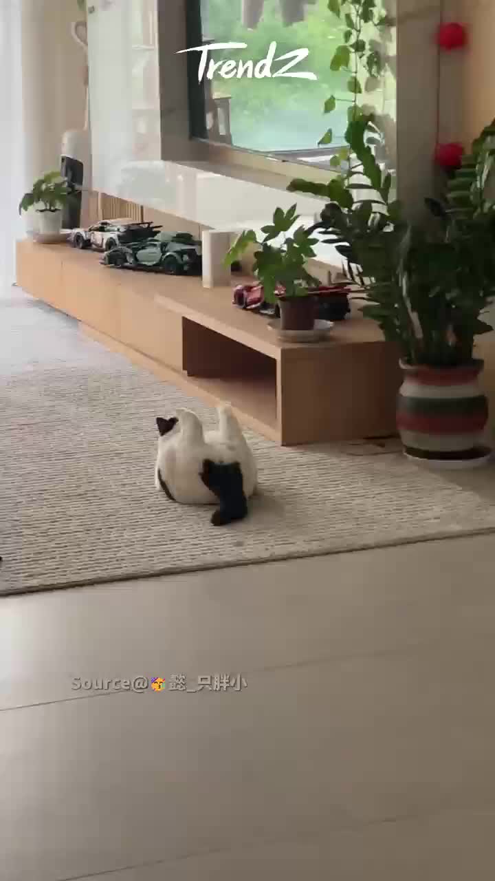 @TrendZ_CN