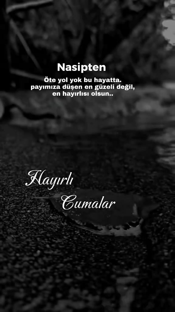 @↪️DEVRAN🌼56☑️