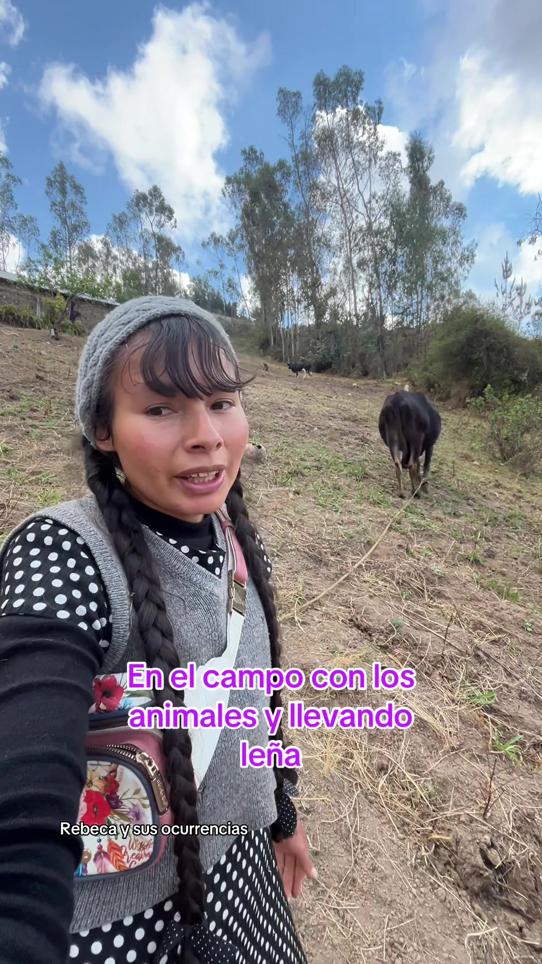 @🐈Rebeca y sus ocurrencias