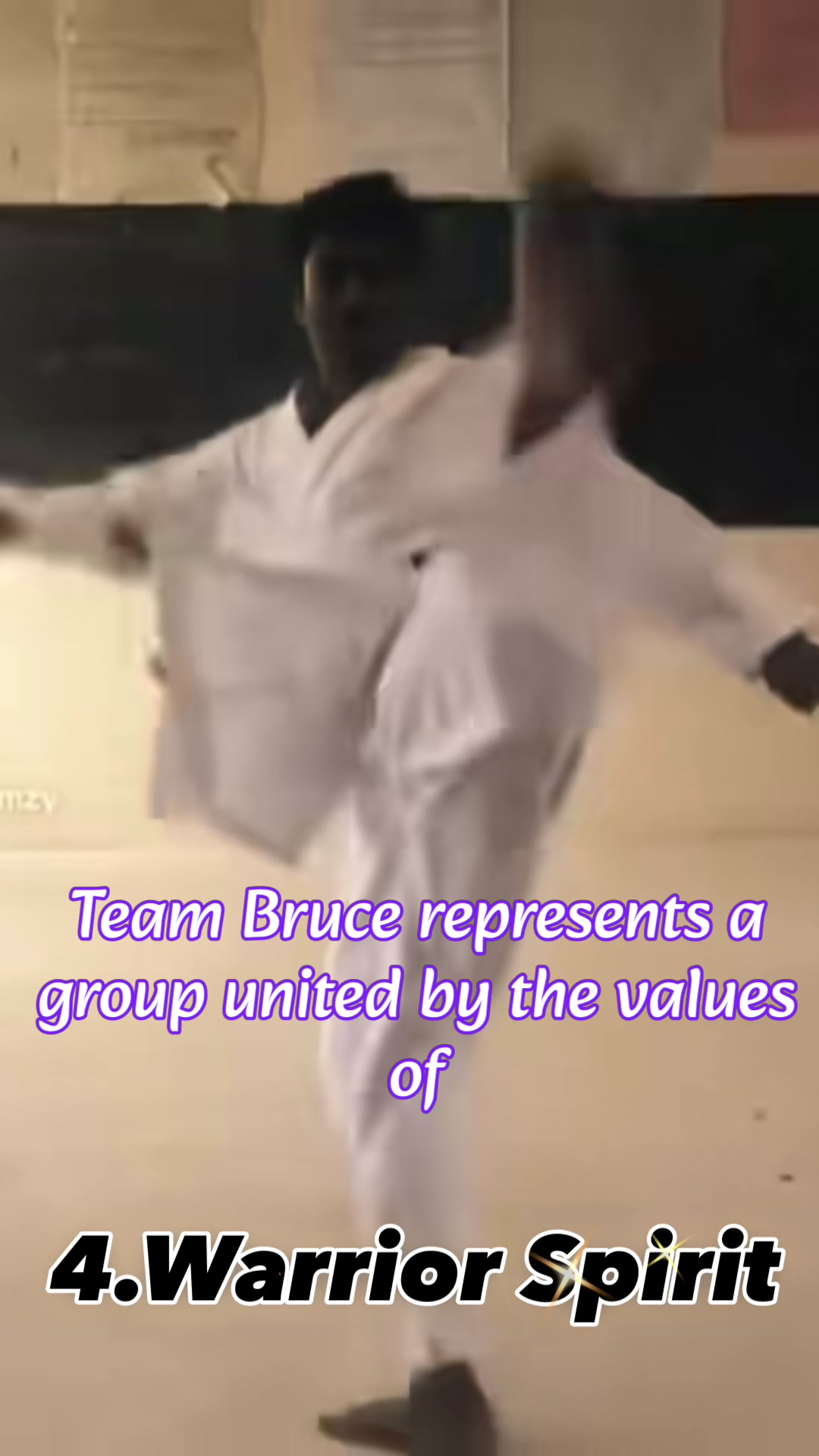 @Ahamed Nimzy (Team Bruce)