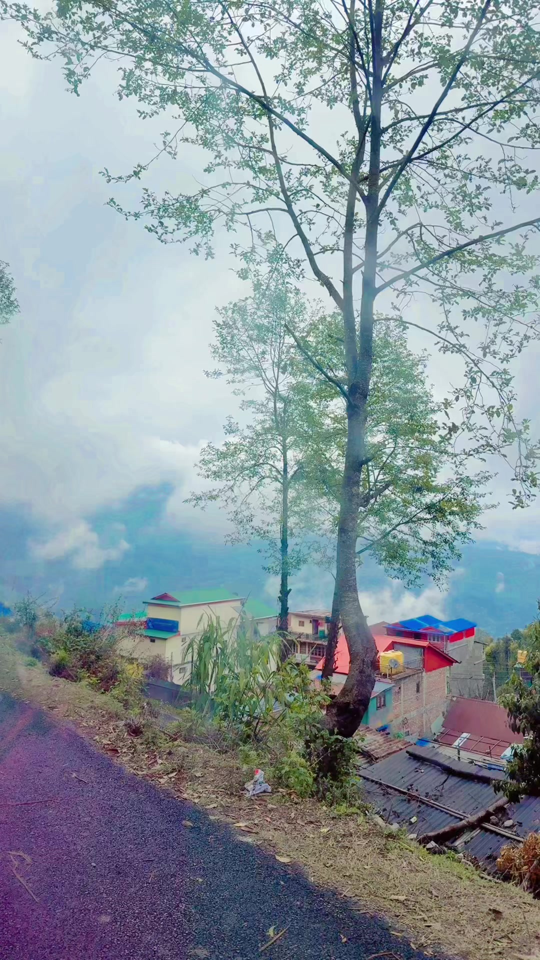 @laxmi baral