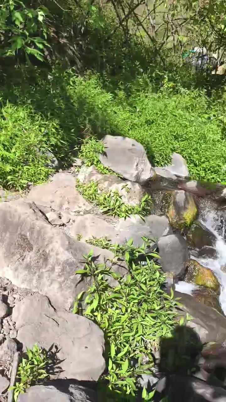 @Salvin Trekking