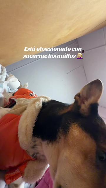 @Nahii🌷