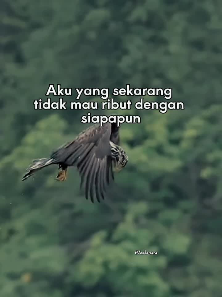 @Analia Kim