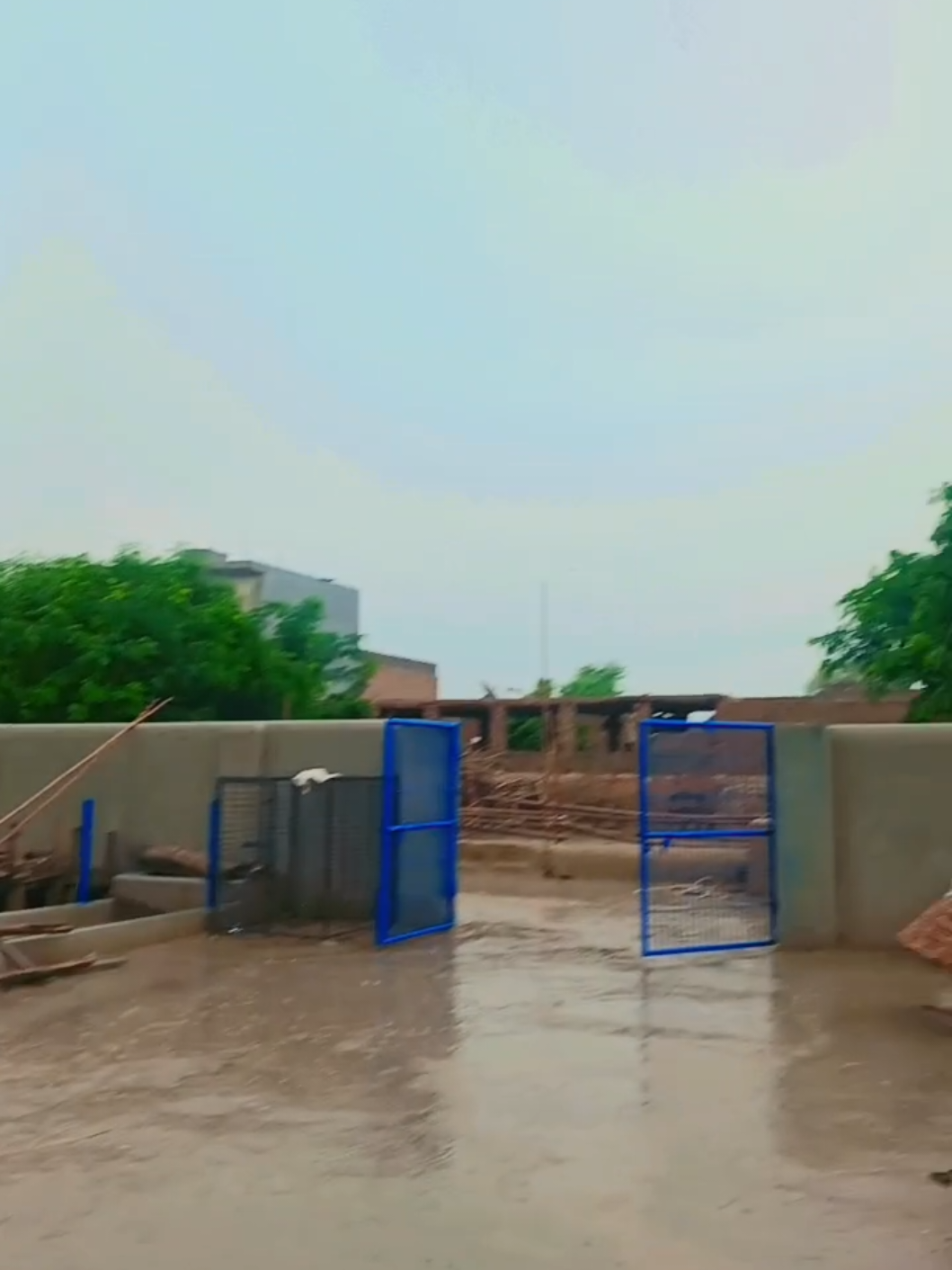 @Babu Pathan Goat Farm