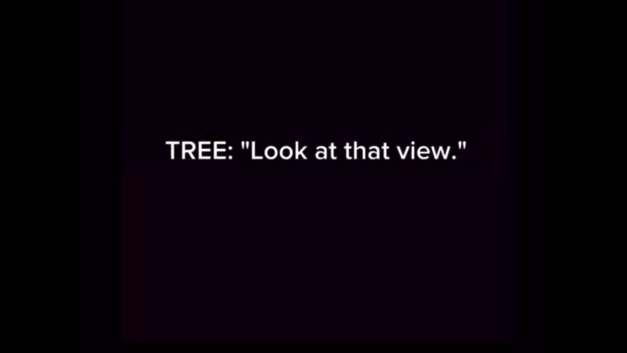 @Nick Weaver