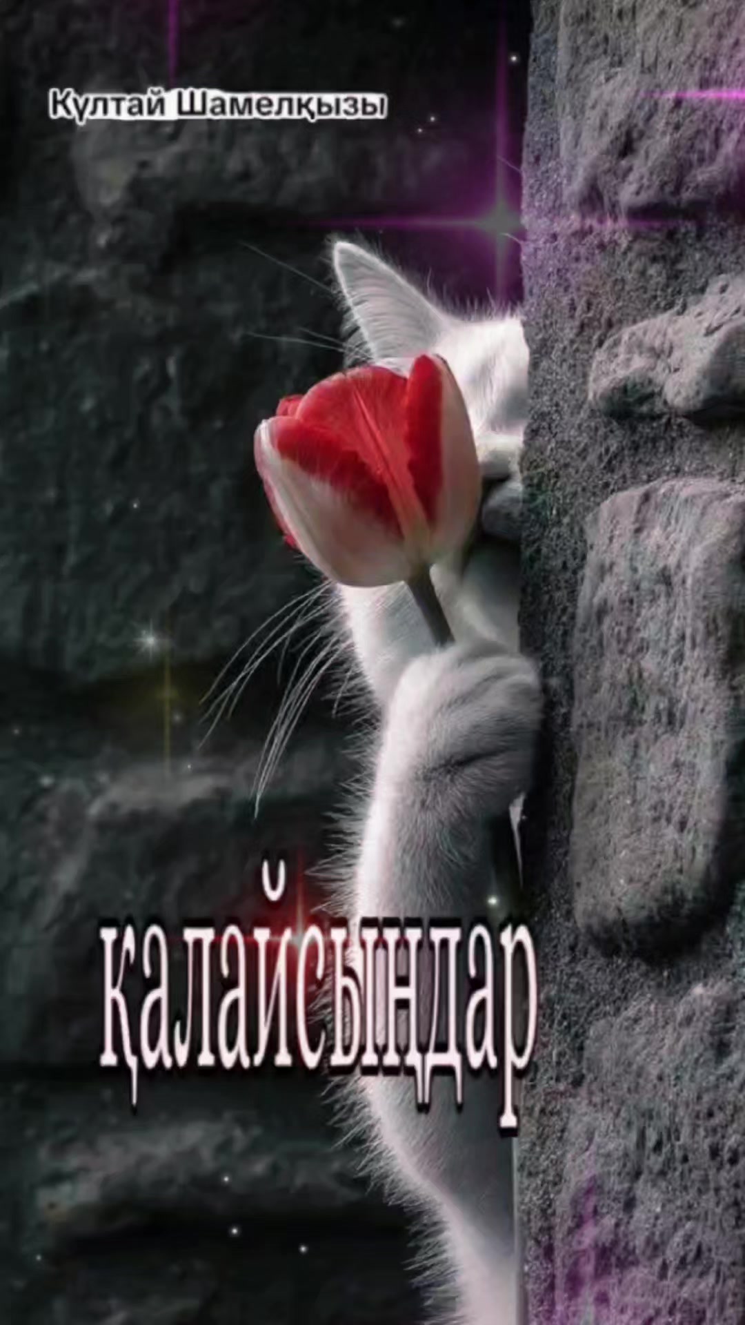 @Күлтай Шамелқызы
