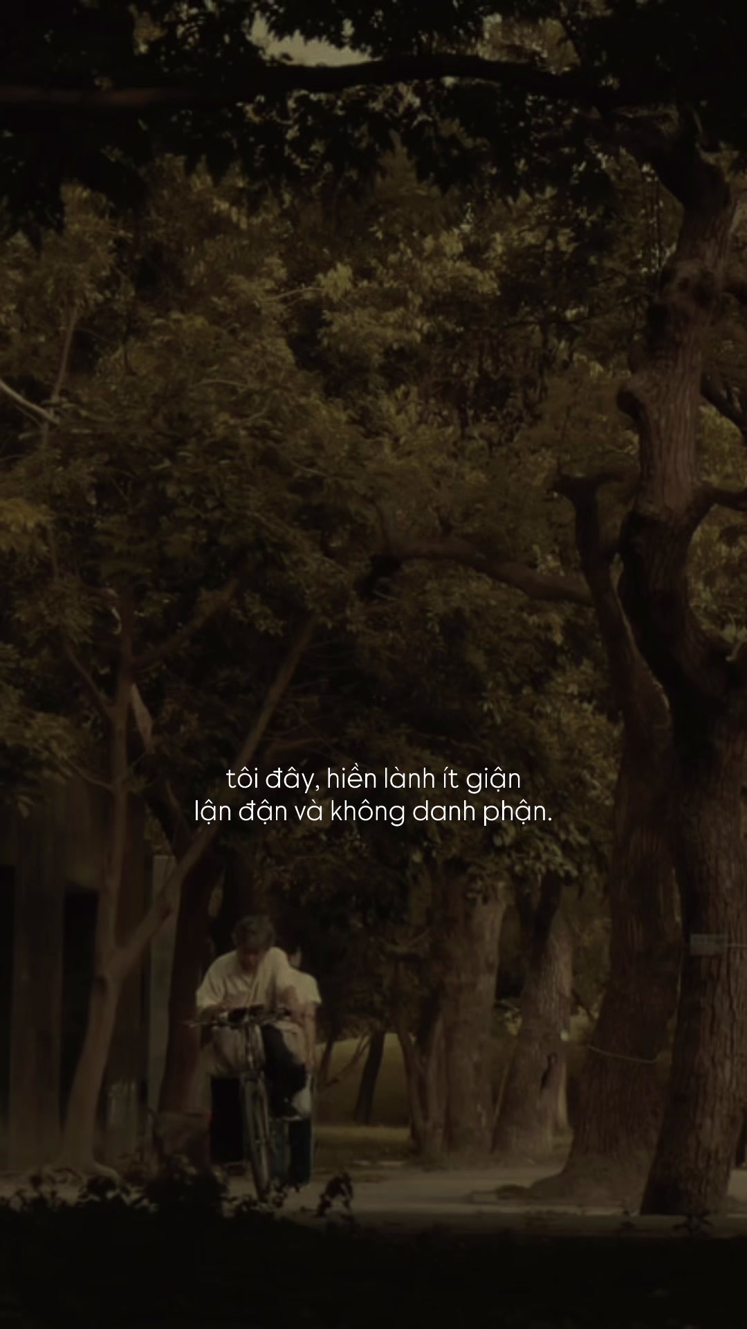 @Người Hiểu Chuyện