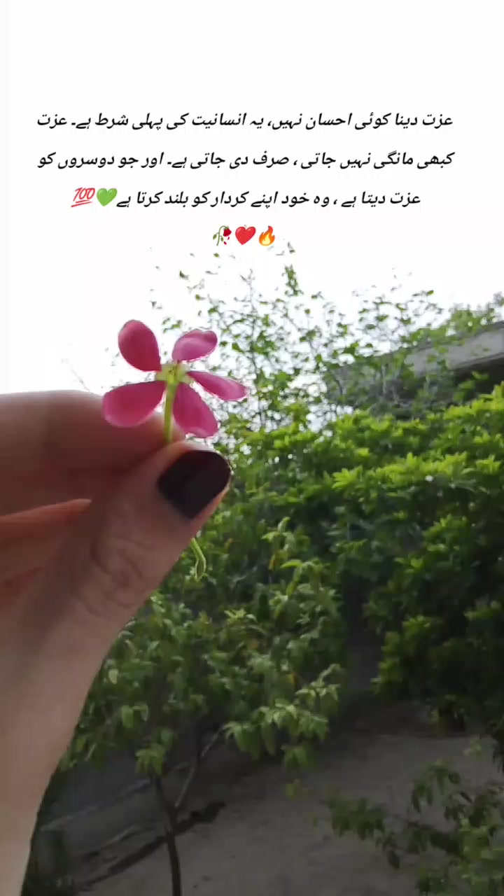 @Aiman🧸