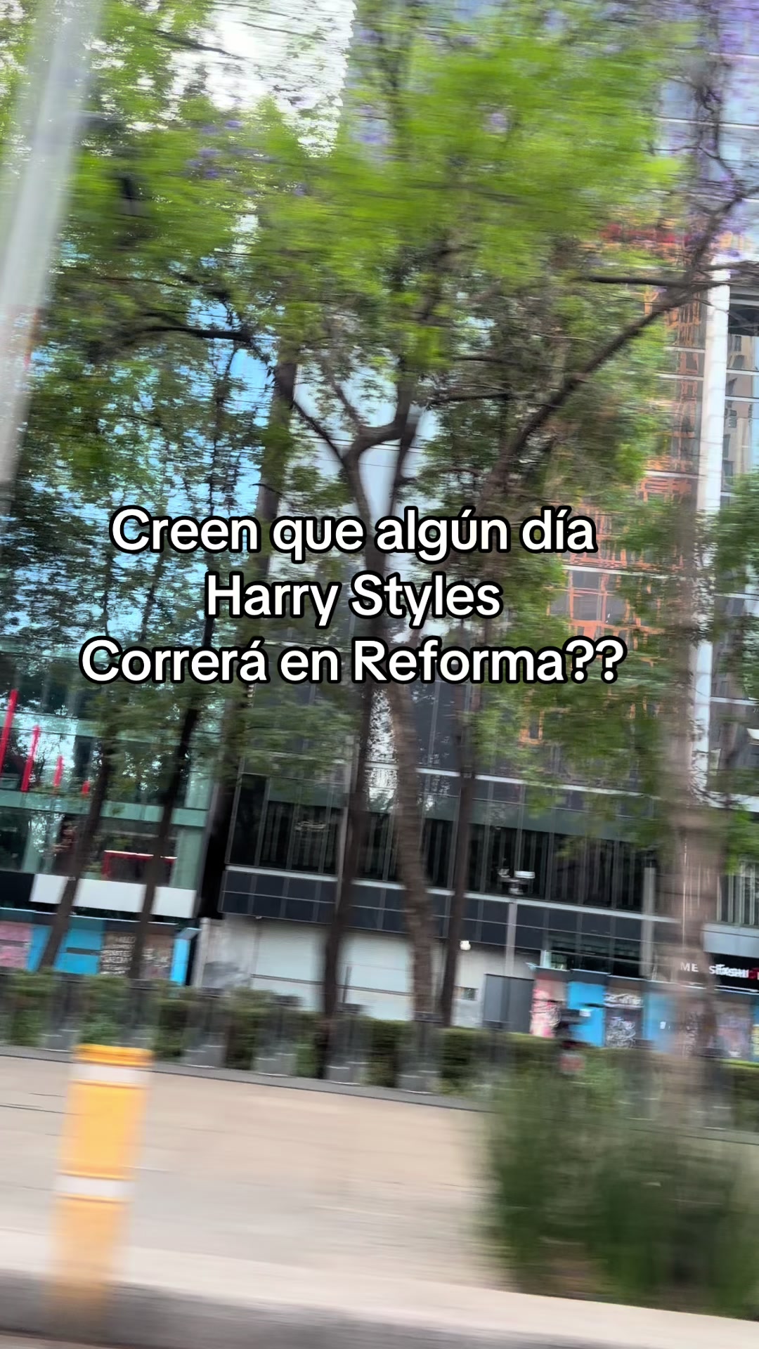 @Tania Mejia