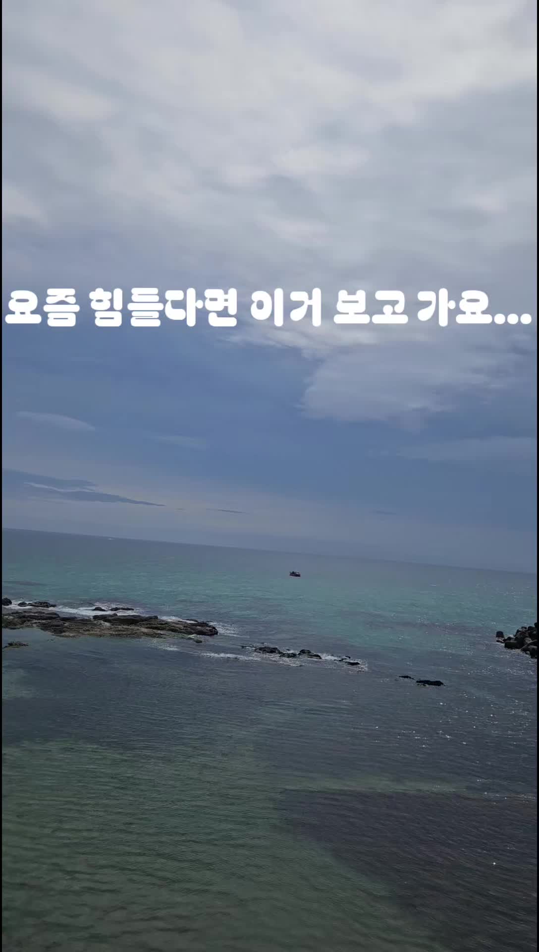 @❄️송송지니❄️