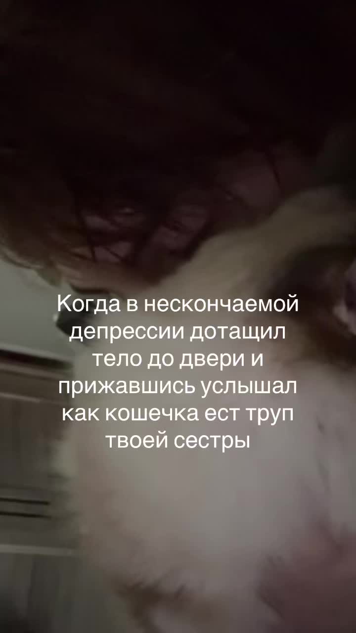 @lyung