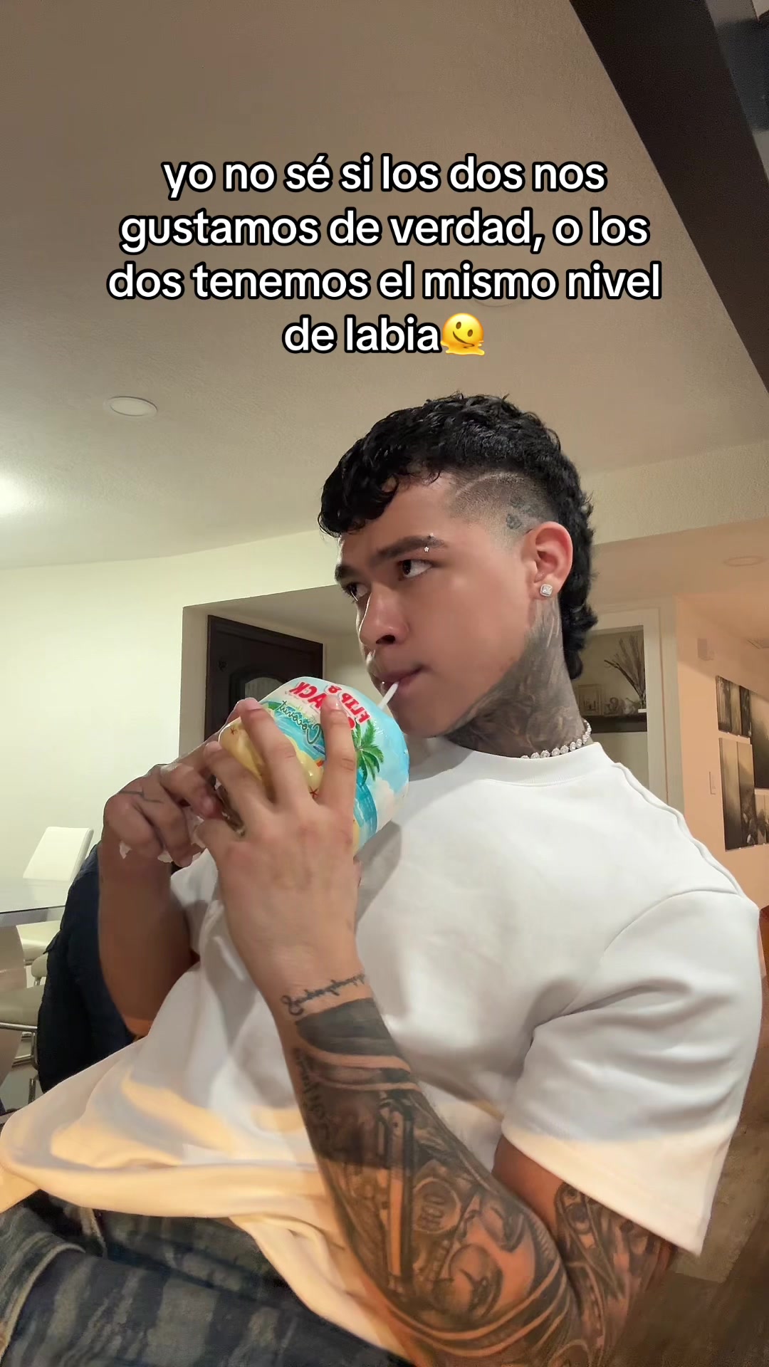 @palomino🦁