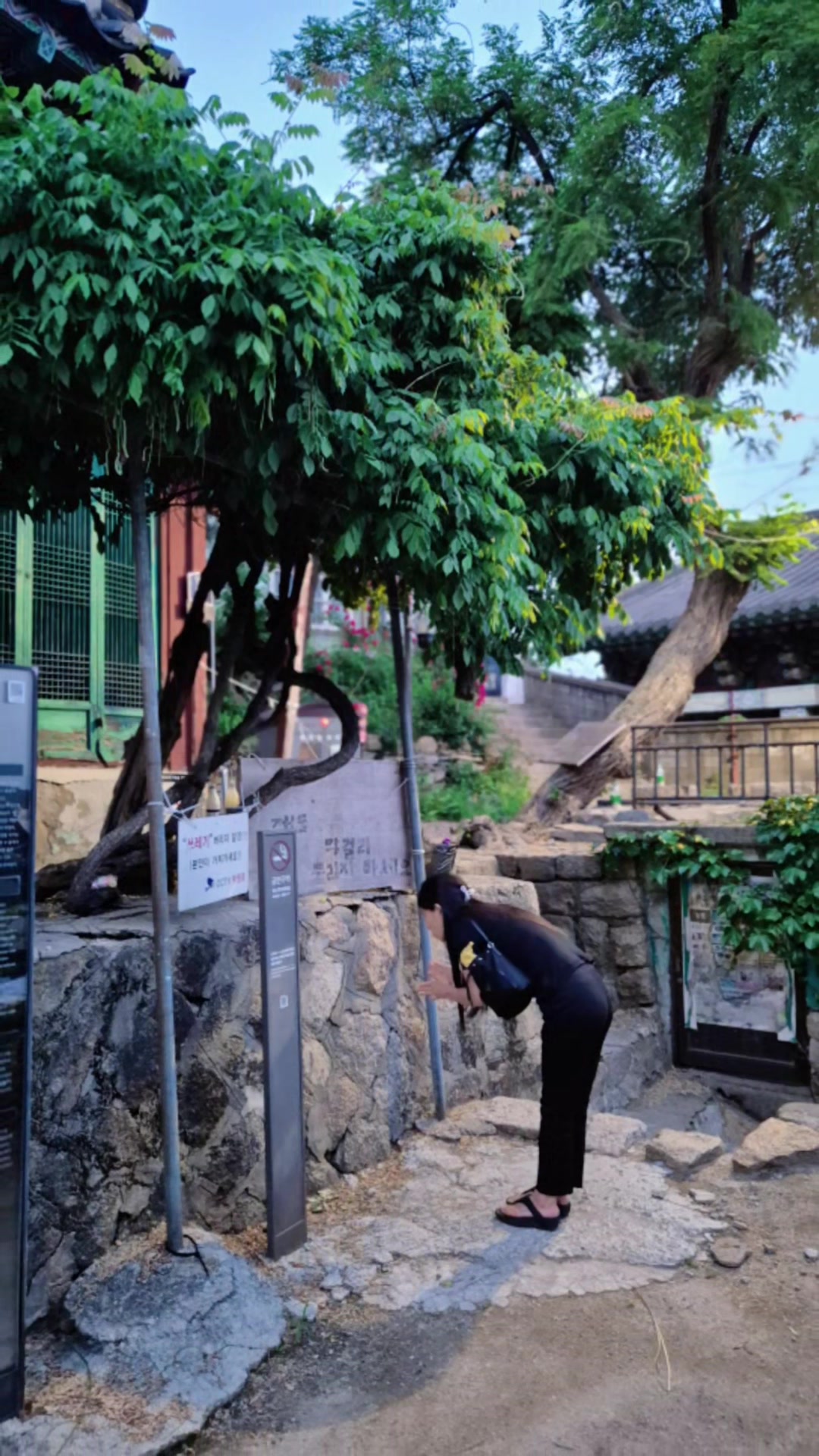 @오아시스
