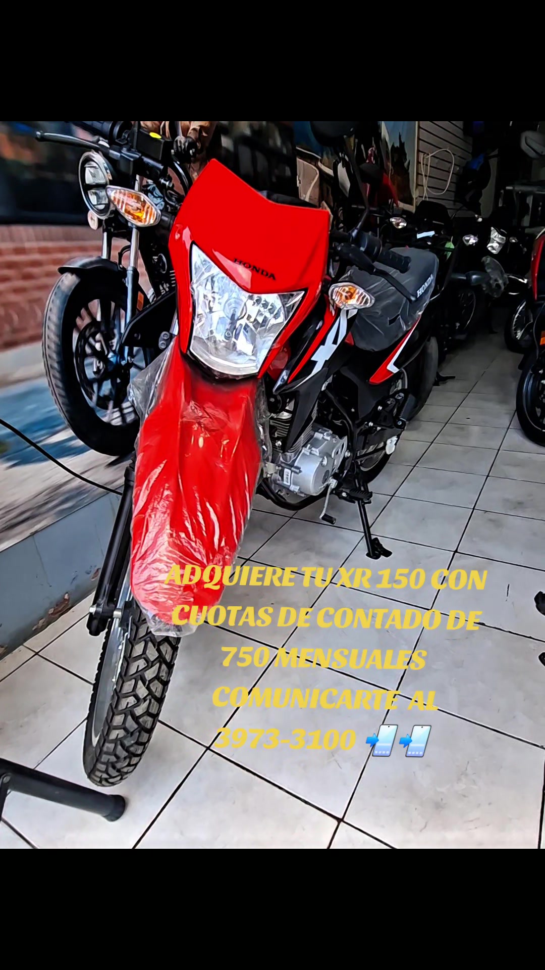 @Honda Carcha A.V.
