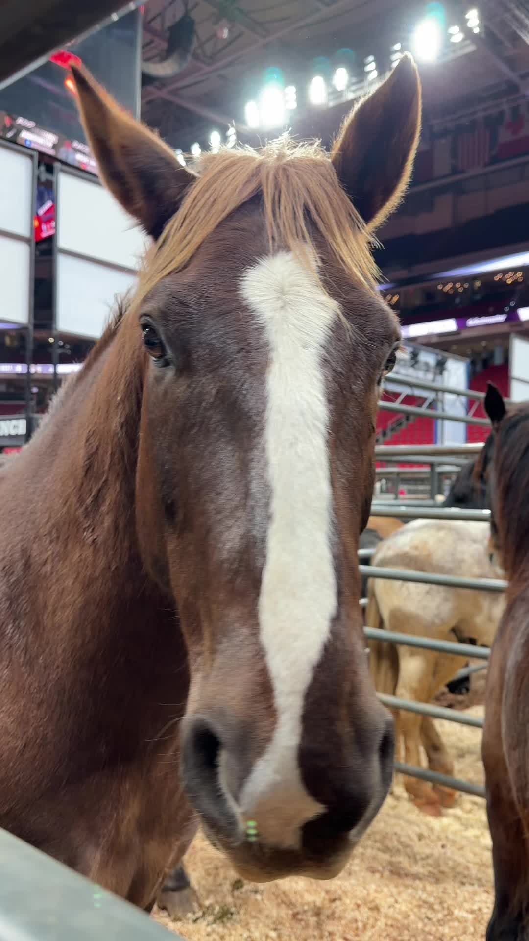 @CinchWorldsToughestRodeo