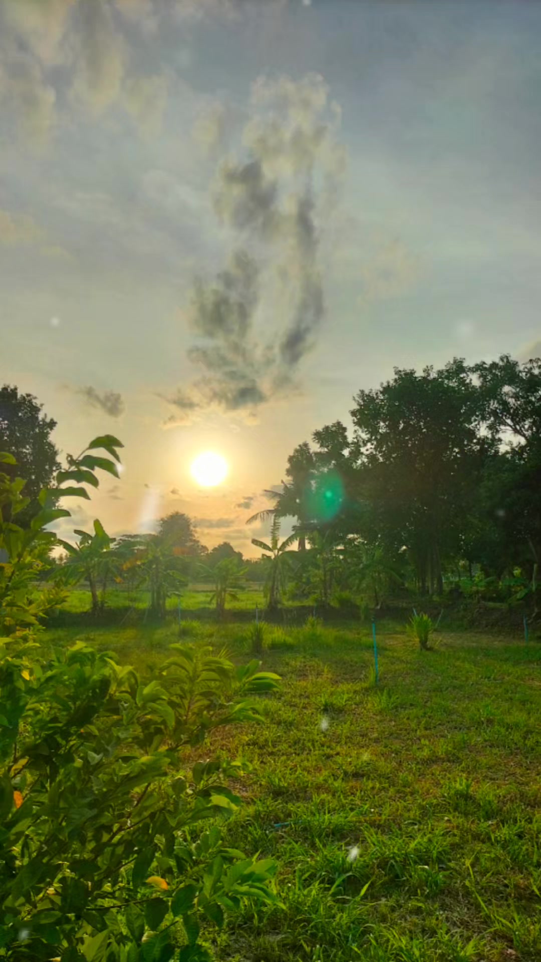 @Surasak Wongnet