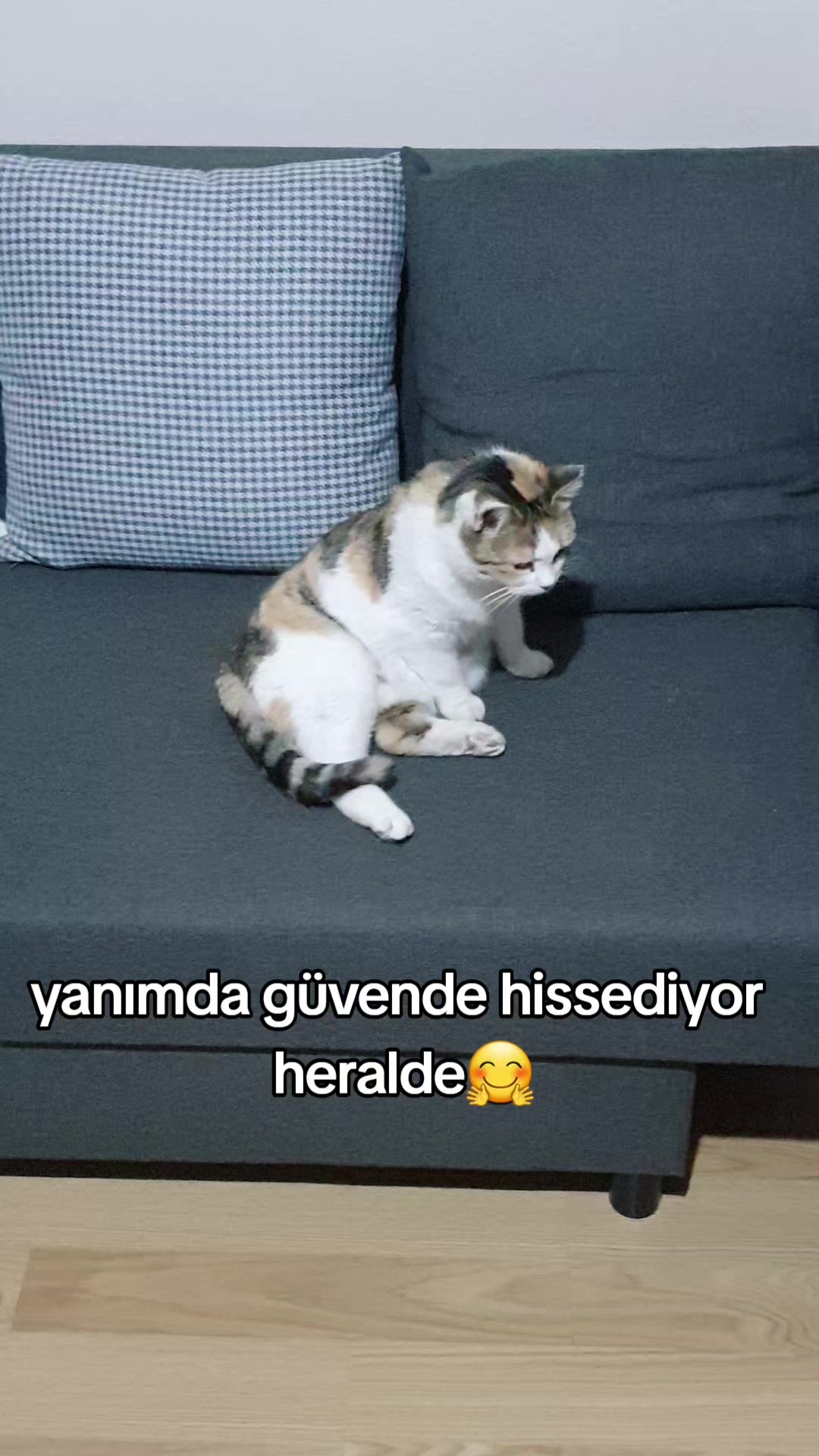 @kuzey