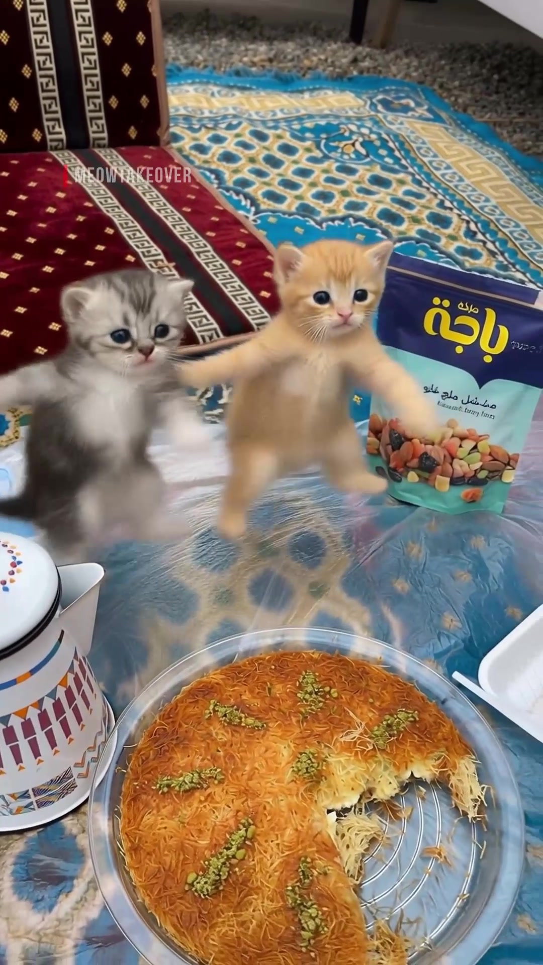 @meowtakeover
