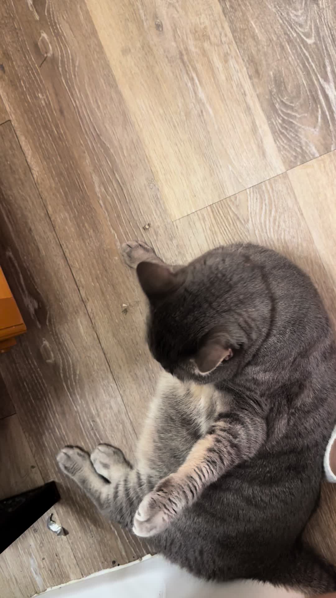@Mama💕